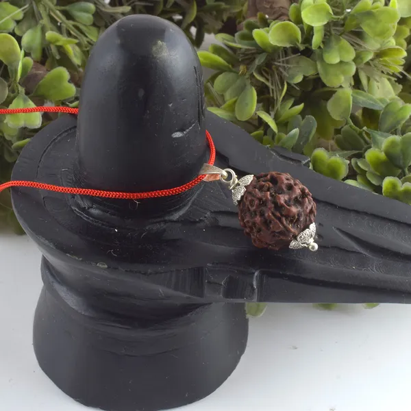 6_Mukhi_Rudraksha_Pendant_With_Red_Thread_|_For_Men_&_Women_Natural_&_Certified