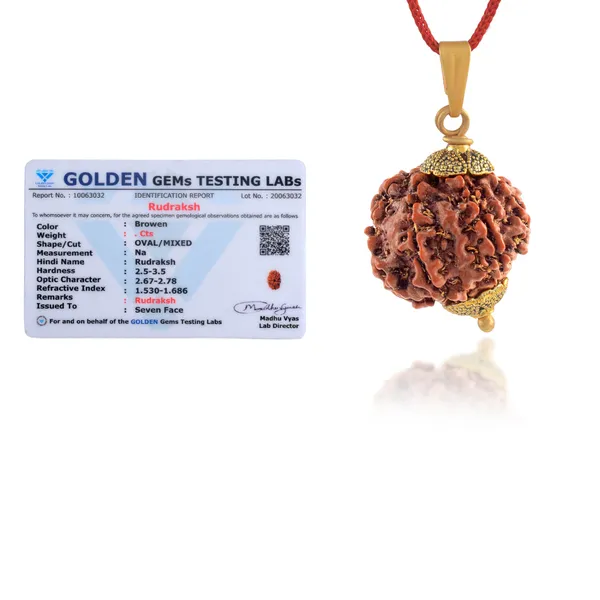 7_Mukhi_Rudraksha_Pendant_With_Red_Thread_|_For_Men_&_Women_Natural_&_Certified