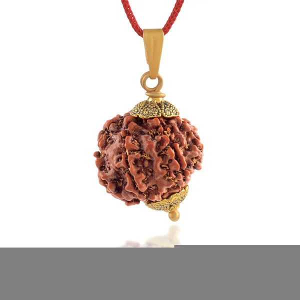 7_Mukhi_Rudraksha_Pendant_With_Red_Thread_|_For_Men_&_Women_Natural_&_Certified