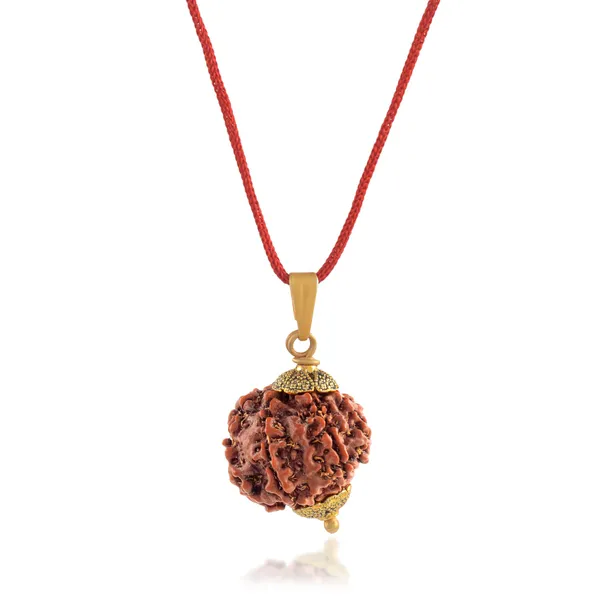 7_Mukhi_Rudraksha_Pendant_With_Red_Thread_|_For_Men_&_Women_Natural_&_Certified