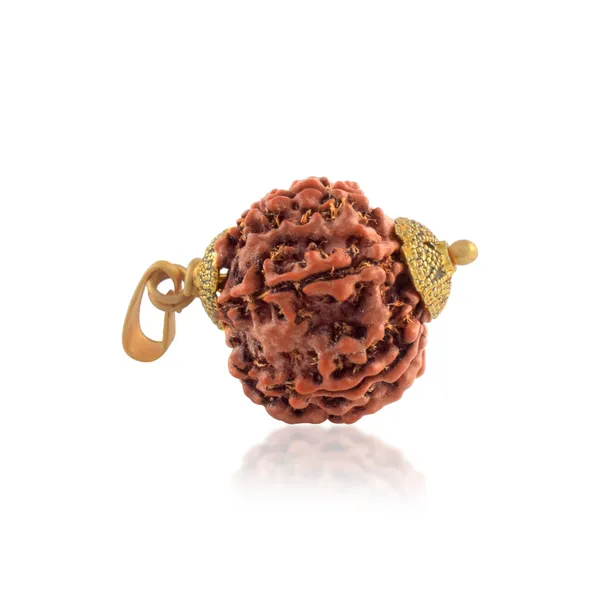 7_Mukhi_Rudraksha_Pendant_With_Red_Thread_|_For_Men_&_Women_Natural_&_Certified