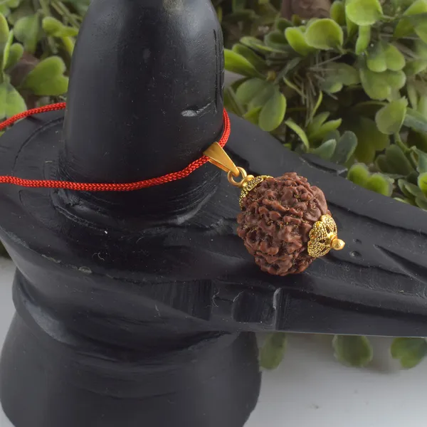 7_Mukhi_Rudraksha_Pendant_With_Red_Thread_|_For_Men_&_Women_Natural_&_Certified