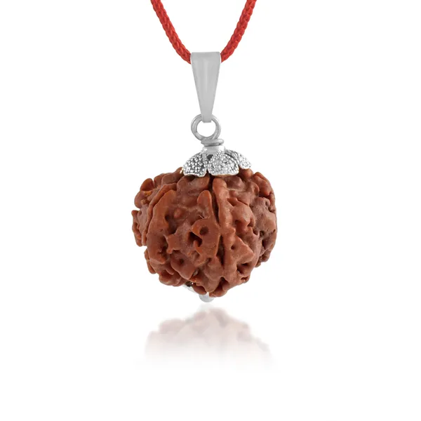 7_Mukhi_Rudraksha_Pendant_With_Red_Thread_|_For_Men_&_Women_Natural_&_Certified