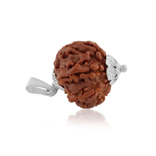 7_Mukhi_Rudraksha_Pendant_With_Red_Thread_|_For_Men_&_Women_Natural_&_Certified