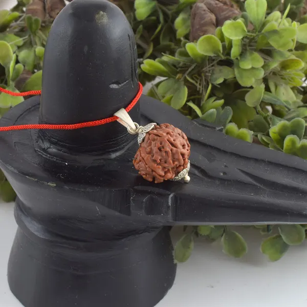 7_Mukhi_Rudraksha_Pendant_With_Red_Thread_|_For_Men_&_Women_Natural_&_Certified