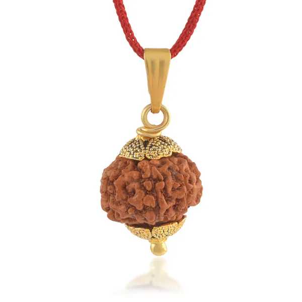 8_Mukhi_Rudraksha_Pendant_With_Red_Thread_|_For_Men_&_Women_Natural_&_Certified