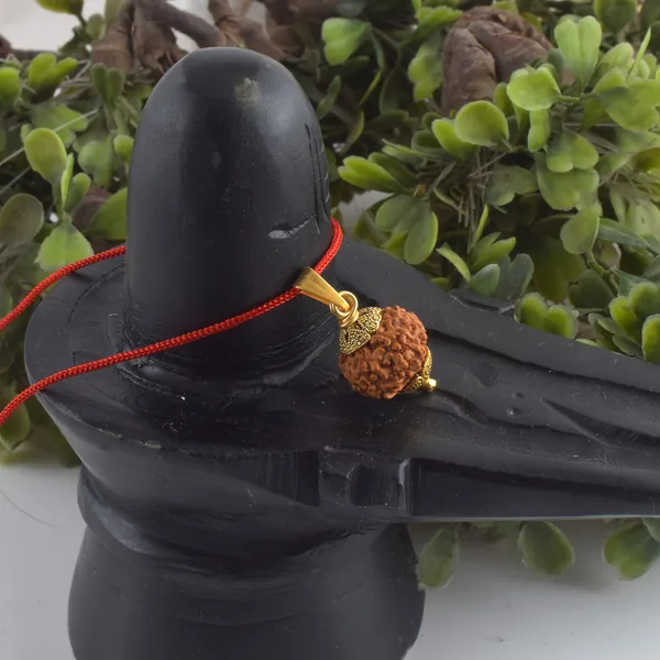 8_Mukhi_Rudraksha_Pendant_With_Red_Thread_|_For_Men_&_Women_Natural_&_Certified