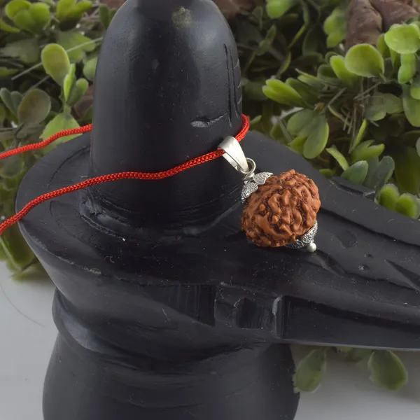 8_Mukhi_Rudraksha_Pendant_With_Red_Thread_|_For_Men_&_Women_Natural_&_Certified