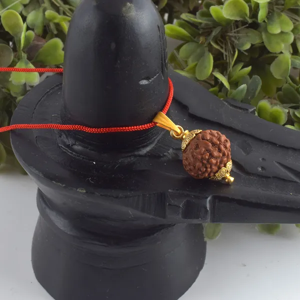 9_Mukhi_Rudraksha_Pendant_With_Red_Thread_|_For_Men_&_Women_Natural_&_Certified