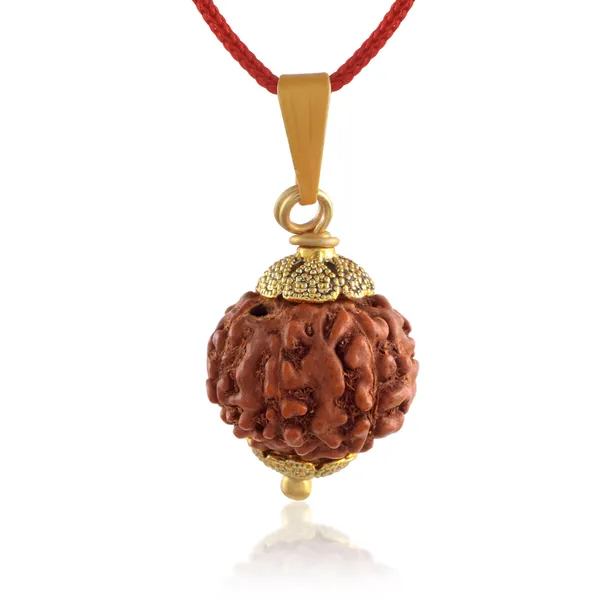 10_Mukhi_Rudraksha_Pendant_With_Red_Thread_|_For_Men_&_Women_Natural_&_Certified