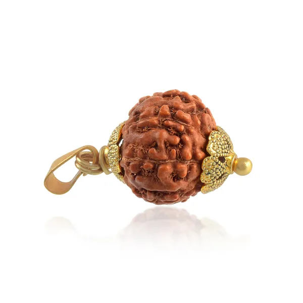 10_Mukhi_Rudraksha_Pendant_With_Red_Thread_|_For_Men_&_Women_Natural_&_Certified