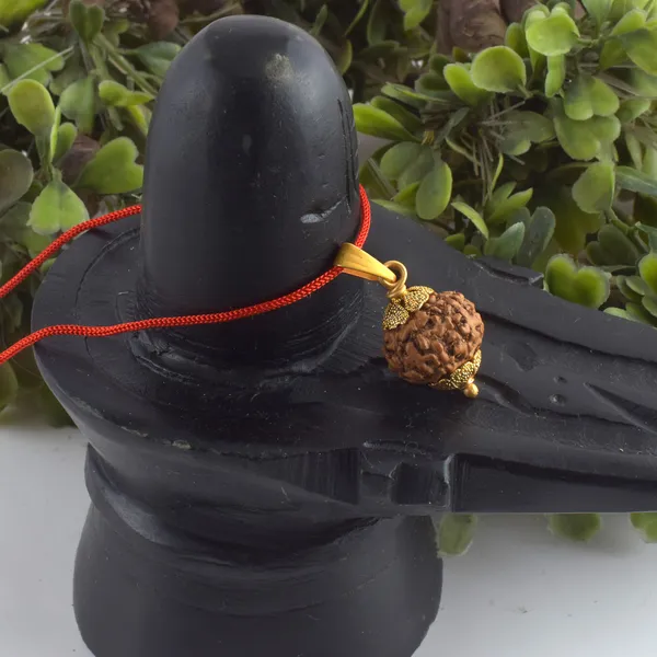 10_Mukhi_Rudraksha_Pendant_With_Red_Thread_|_For_Men_&_Women_Natural_&_Certified