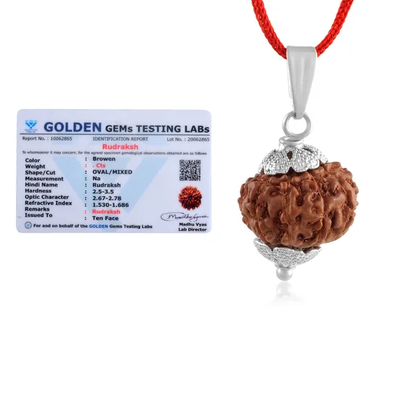 10_Mukhi_Rudraksha_Pendant_With_Red_Thread_|_For_Men_&_Women_Natural_&_Certified