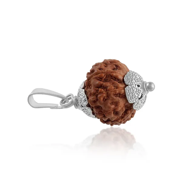 10_Mukhi_Rudraksha_Pendant_With_Red_Thread_|_For_Men_&_Women_Natural_&_Certified