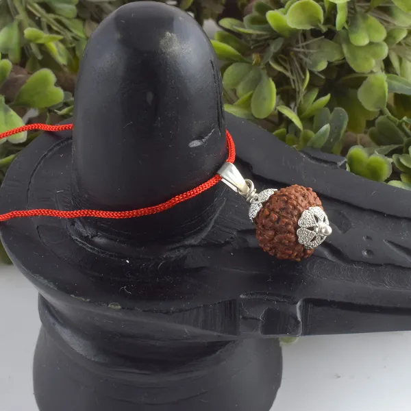 10_Mukhi_Rudraksha_Pendant_With_Red_Thread_|_For_Men_&_Women_Natural_&_Certified