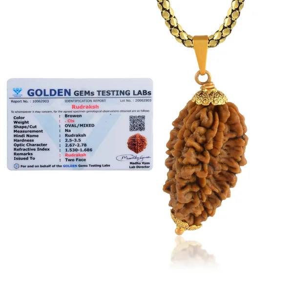 2_Mukhi_Nepali_Rudraksha_With_Sterling_Silver_Chain_|_For_Men_&_Women_Natural_&_Certified