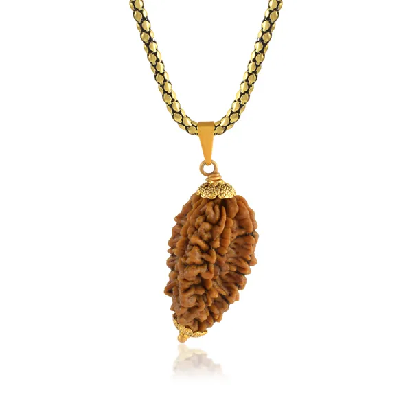 2_Mukhi_Nepali_Rudraksha_With_Sterling_Silver_Chain_|_For_Men_&_Women_Natural_&_Certified