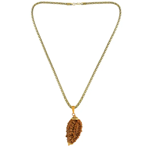 2_Mukhi_Nepali_Rudraksha_With_Sterling_Silver_Chain_|_For_Men_&_Women_Natural_&_Certified