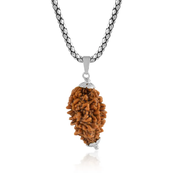 2_Mukhi_Nepali_Rudraksha_With_Sterling_Silver_Chain_|_For_Men_&_Women_Natural_&_Certified