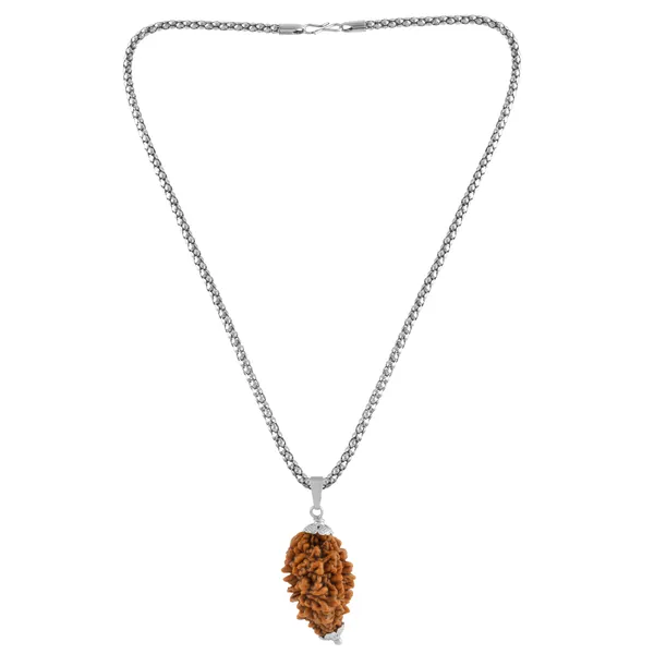 2_Mukhi_Nepali_Rudraksha_With_Sterling_Silver_Chain_|_For_Men_&_Women_Natural_&_Certified