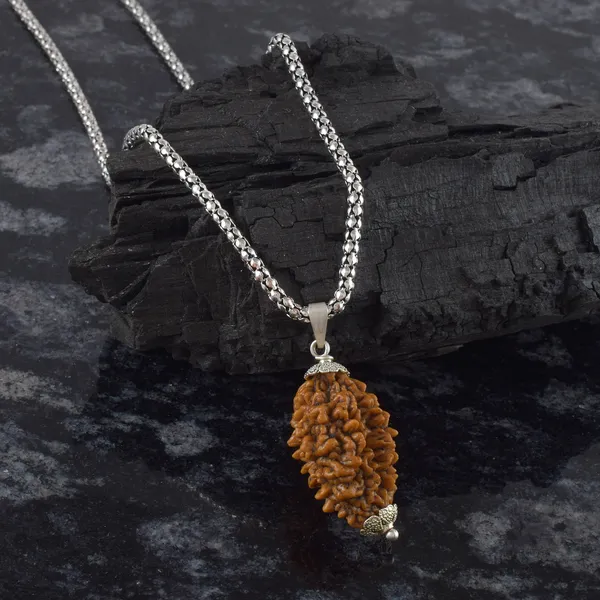2_Mukhi_Nepali_Rudraksha_With_Sterling_Silver_Chain_|_For_Men_&_Women_Natural_&_Certified