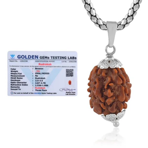 3_Mukhi_Nepali_Rudraksha_With_Sterling_Silver_Chain_|_For_Men_&_Women_Natural_&_Certified