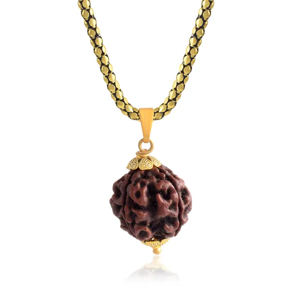 4_Mukhi_Nepali_Rudraksha_With_Sterling_Silver_Chain_|_For_Men_&_Women_Natural_&_Certified