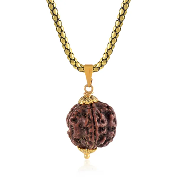 5_Mukhi_Rudraksha_Pendant_With_Chain_|_For_Men_&_Women_Natural_&_Certified