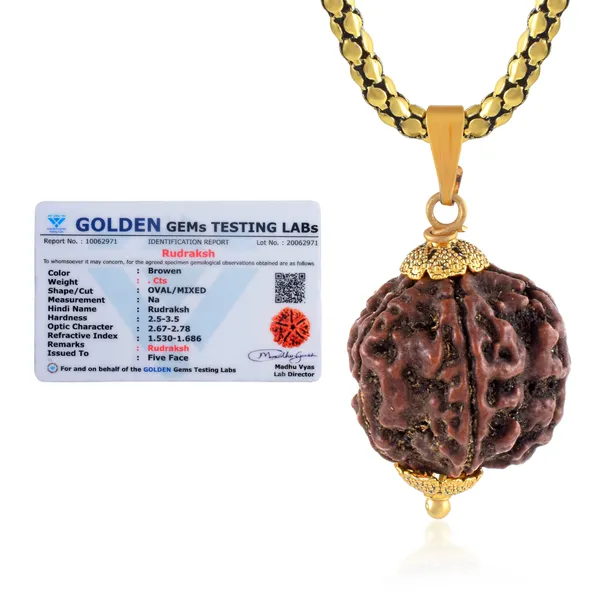 5_Mukhi_Rudraksha_Pendant_With_Chain_|_For_Men_&_Women_Natural_&_Certified