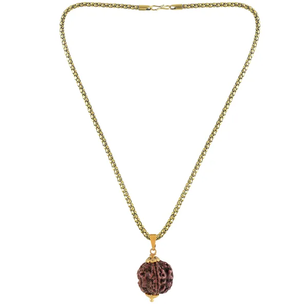 5_Mukhi_Rudraksha_Pendant_With_Chain_|_For_Men_&_Women_Natural_&_Certified