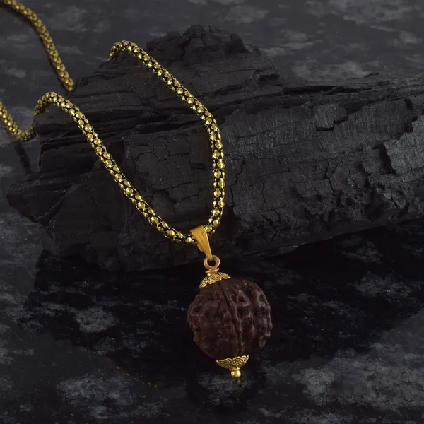 5_Mukhi_Rudraksha_Pendant_With_Chain_|_For_Men_&_Women_Natural_&_Certified