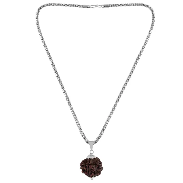 5_Mukhi_Rudraksha_Pendant_With_Chain_|_For_Men_&_Women_Natural_&_Certified