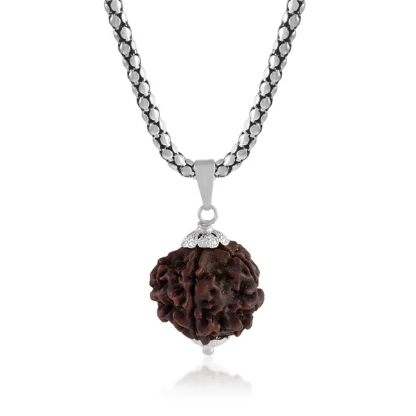 5_Mukhi_Rudraksha_Pendant_With_Chain_|_For_Men_&_Women_Natural_&_Certified