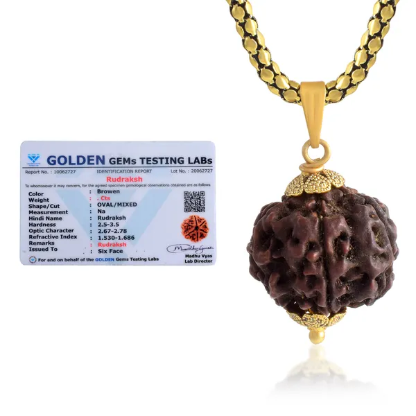 6_Mukhi_Rudraksha_Pendant_With_Chain_|_For_Men_&_Women_Natural_&_Certified