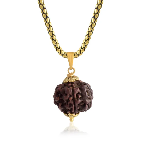 6_Mukhi_Rudraksha_Pendant_With_Chain_|_For_Men_&_Women_Natural_&_Certified