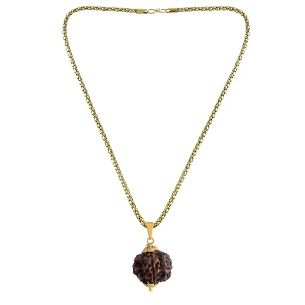 6_Mukhi_Rudraksha_Pendant_With_Chain_|_For_Men_&_Women_Natural_&_Certified