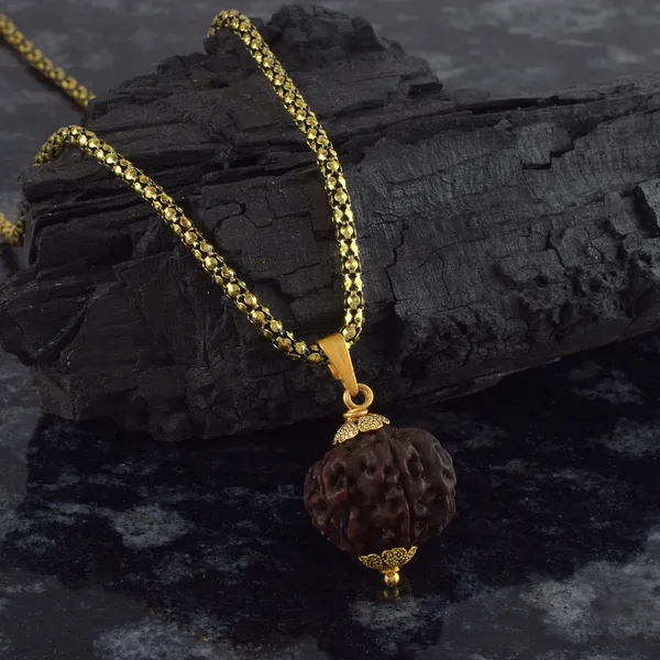 6_Mukhi_Rudraksha_Pendant_With_Chain_|_For_Men_&_Women_Natural_&_Certified
