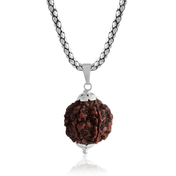 6_Mukhi_Rudraksha_Pendant_With_Chain_|_For_Men_&_Women_Natural_&_Certified
