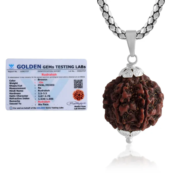 6_Mukhi_Rudraksha_Pendant_With_Chain_|_For_Men_&_Women_Natural_&_Certified
