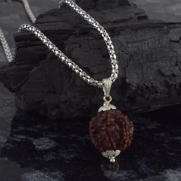 6_Mukhi_Rudraksha_Pendant_With_Chain_|_For_Men_&_Women_Natural_&_Certified