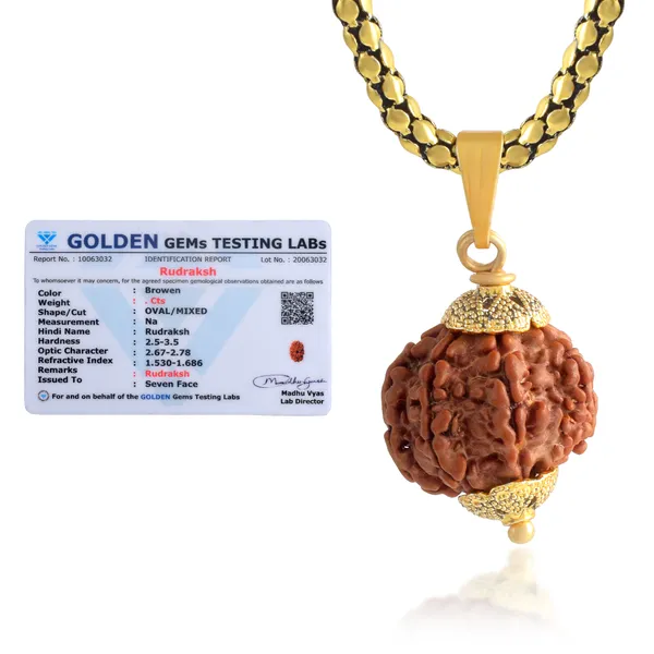 7_Mukhi_Rudraksha_Pendant_With_Chain_|_For_Men_&_Women_Natural_&_Certified