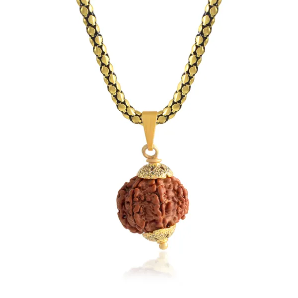 7_Mukhi_Rudraksha_Pendant_With_Chain_|_For_Men_&_Women_Natural_&_Certified