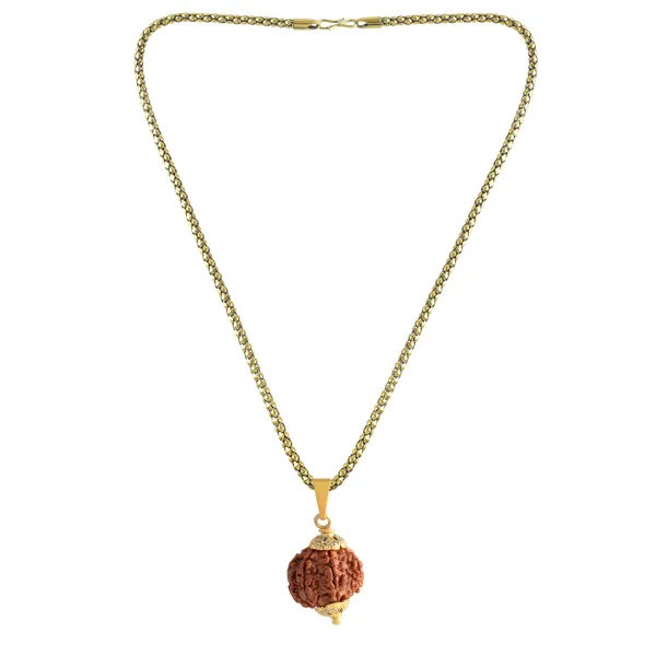 7_Mukhi_Rudraksha_Pendant_With_Chain_|_For_Men_&_Women_Natural_&_Certified