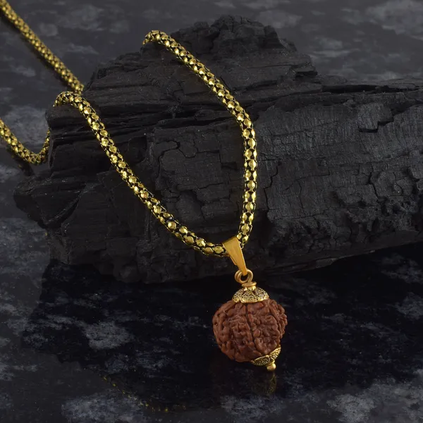 7_Mukhi_Rudraksha_Pendant_With_Chain_|_For_Men_&_Women_Natural_&_Certified