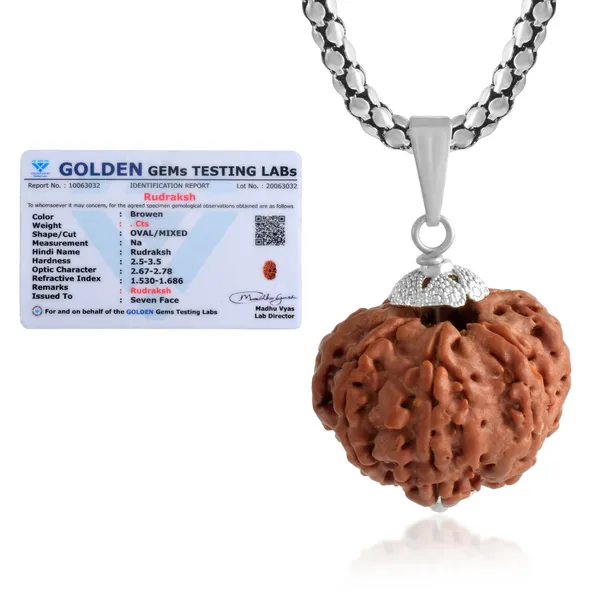 7_Mukhi_Rudraksha_Pendant_With_Chain_|_For_Men_&_Women_Natural_&_Certified