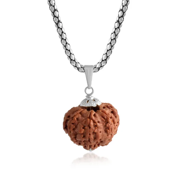 7_Mukhi_Rudraksha_Pendant_With_Chain_|_For_Men_&_Women_Natural_&_Certified