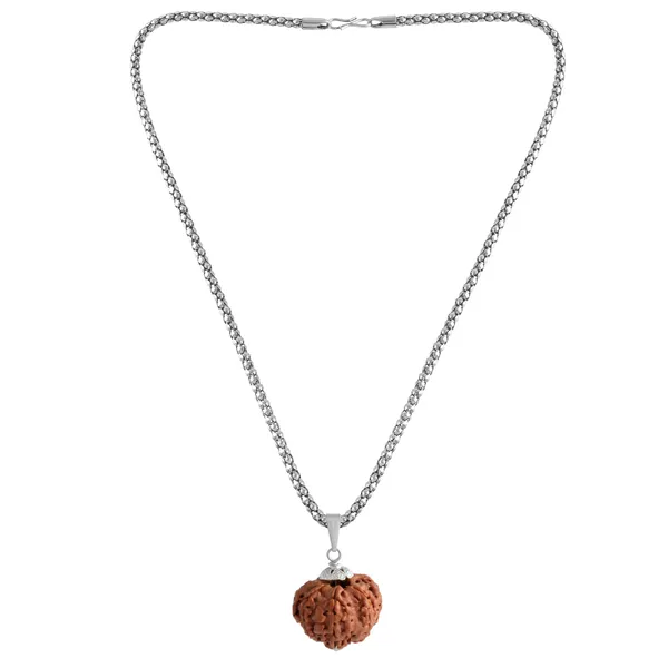 7_Mukhi_Rudraksha_Pendant_With_Chain_|_For_Men_&_Women_Natural_&_Certified