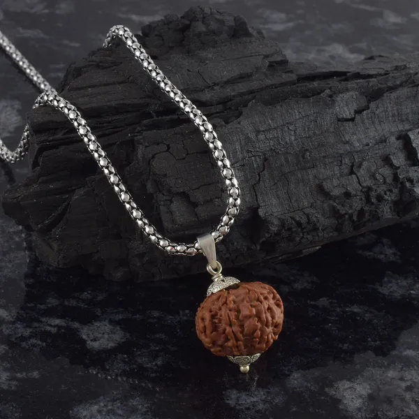 7_Mukhi_Rudraksha_Pendant_With_Chain_|_For_Men_&_Women_Natural_&_Certified
