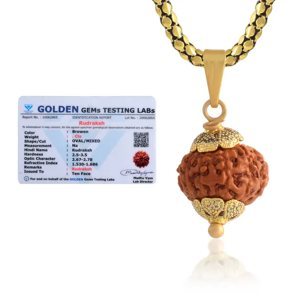 10_Mukhi_Rudraksha_Pendant_With_Chain_|_For_Men_&_Women_Natural_&_Certified