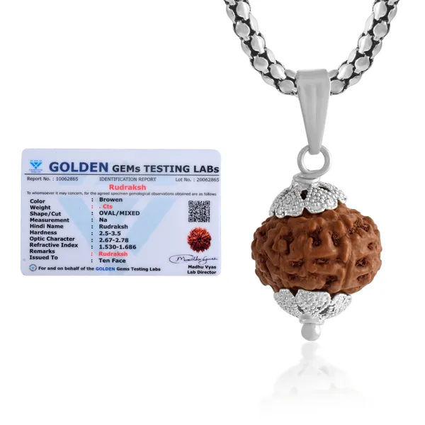 10_Mukhi_Rudraksha_Pendant_With_Chain_|_For_Men_&_Women_Natural_&_Certified